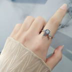 Adjustable Rotatable Opening Lux Niche Ring